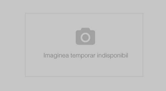 Imaginea temporar indisponibil
